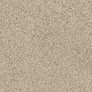 Coterie Residential Carpet