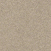 Coterie Residential Carpet