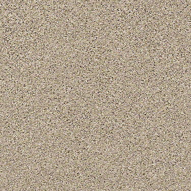 Coterie Residential Carpet