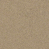 Coterie Residential Carpet