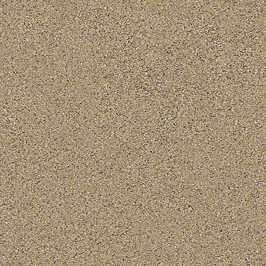 Coterie Residential Carpet