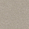 Coterie Residential Carpet