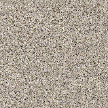 Coterie Residential Carpet