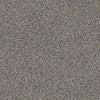 Coterie Residential Carpet