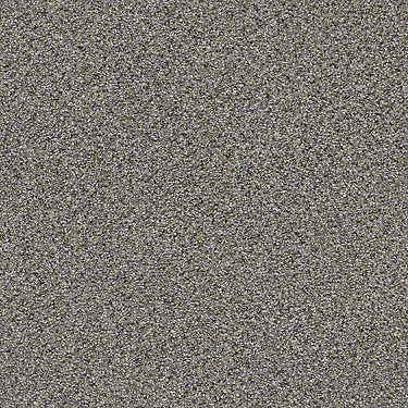 Coterie Residential Carpet