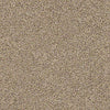 Coterie Residential Carpet