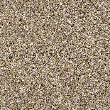 Coterie Residential Carpet