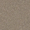Coterie Residential Carpet