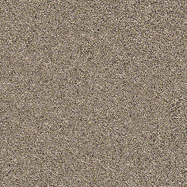 Coterie Residential Carpet