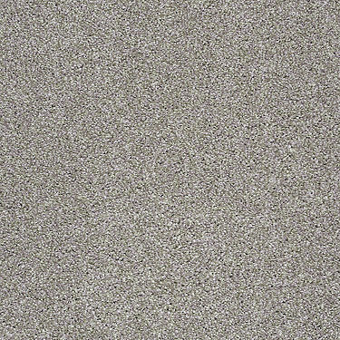Santa Cruz Beach Residential Carpet