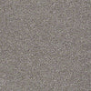 Santa Cruz Beach Residential Carpet