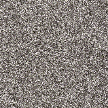 Santa Cruz Beach Residential Carpet