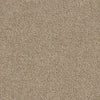 North Shore Beach Residential Carpet
