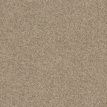 North Shore Beach Residential Carpet