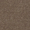 North Shore Beach Residential Carpet