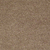 North Shore Beach Residential Carpet