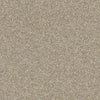 Sand Dollar Beach II Residential Carpet