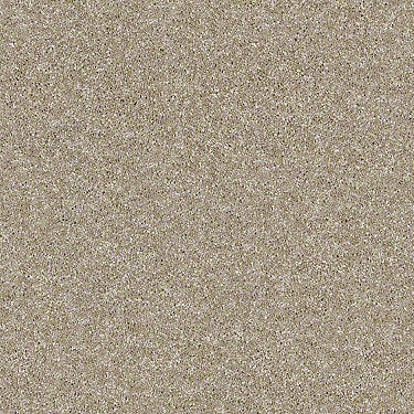 Sand Dollar Beach II Residential Carpet