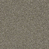 Sand Dollar Beach II Residential Carpet