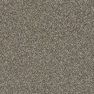 Sand Dollar Beach II Residential Carpet