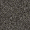 Sand Dollar Beach II Residential Carpet