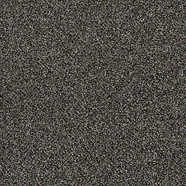 Sand Dollar Beach II Residential Carpet