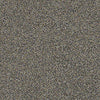 Ronge Beach Residential Carpet
