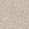 Salt Creek Beach Residential Carpet