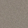 Salt Creek Beach Residential Carpet