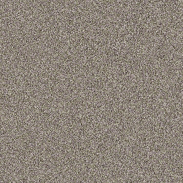 Salt Creek Beach Residential Carpet