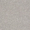 Salt Creek Beach Residential Carpet