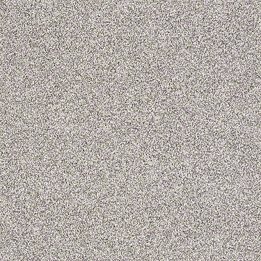 Salt Creek Beach Residential Carpet
