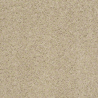 Banyans Residential Carpet