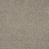 Banyans Residential Carpet