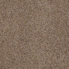 Banyans Residential Carpet