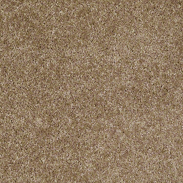 Silver Strand Residential Carpet