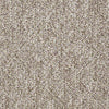 SP012 Commercial Carpet