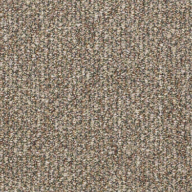 SP012 Commercial Carpet