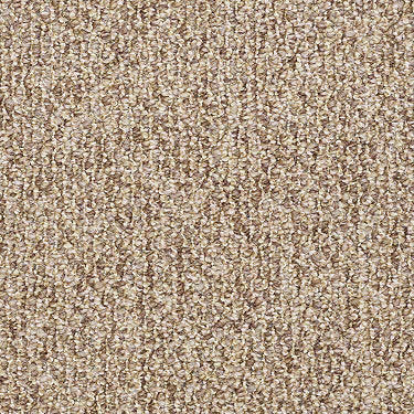 SP012 Commercial Carpet
