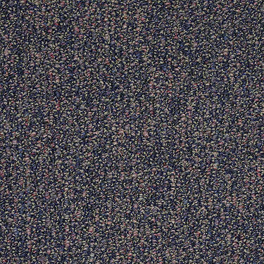 SP012 Commercial Carpet