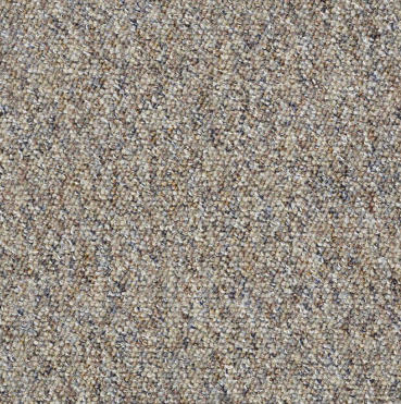 Parade Of Champions II 12' Commercial Carpet