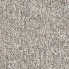 Parade Of Champions II 12' Commercial Carpet
