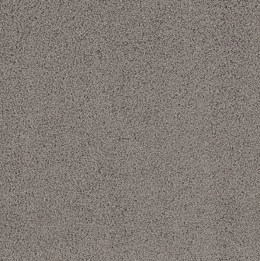 Rich Opulence Residential Carpet