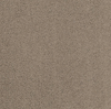 Rich Opulence Residential Carpet