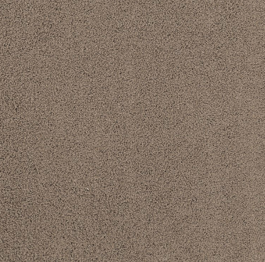 Rich Opulence Residential Carpet