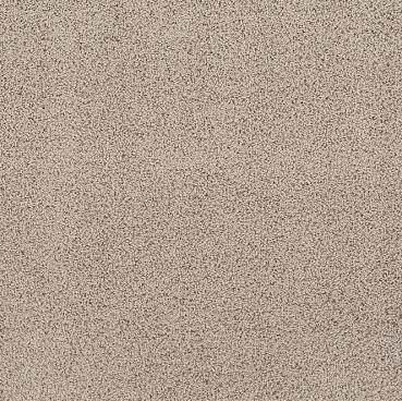 Rich Opulence Residential Carpet