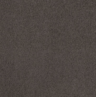 Rich Opulence Residential Carpet
