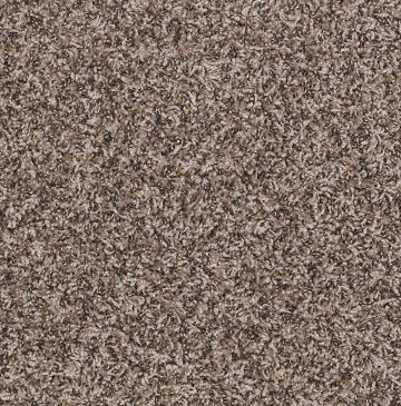 Ride It Out (B) Residential Carpet