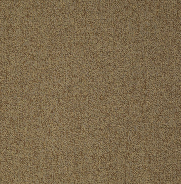 Scoreboard II 28 Residential Carpet
