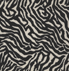 Zebra Commercial Carpet